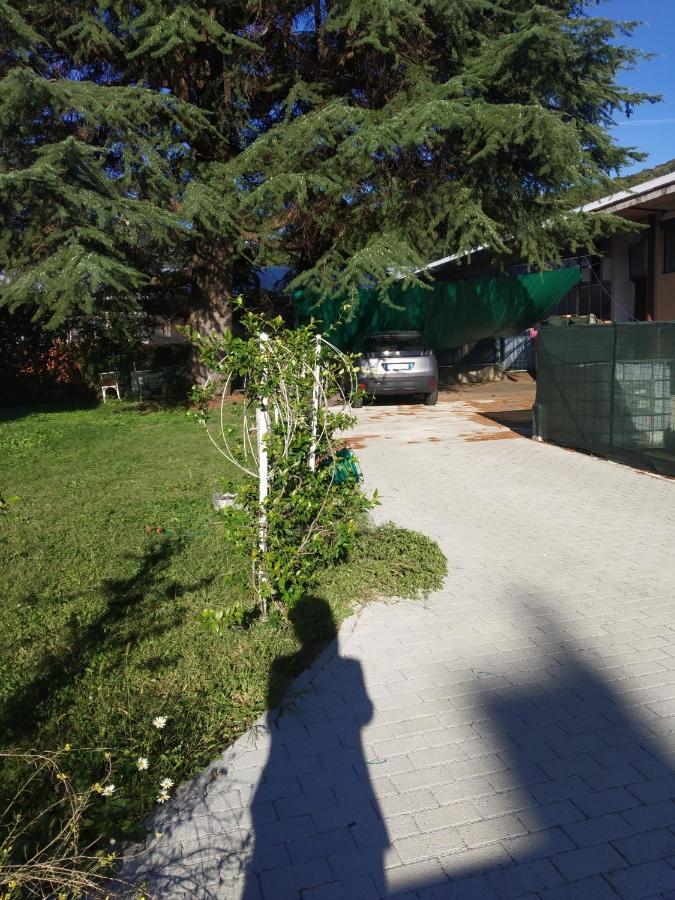 Casa Di Gio Διαμέρισμα Pettenasco Εξωτερικό φωτογραφία